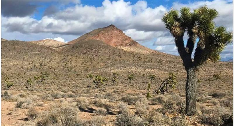 Eminent acquires promising Nevada gold project