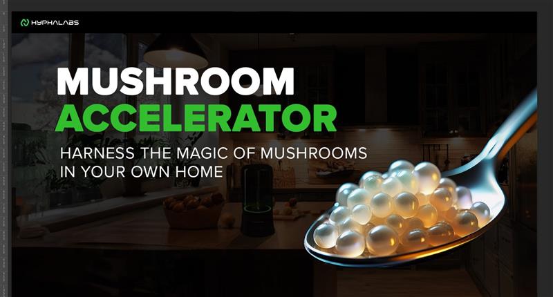 The rise of functional mushrooms and the future of micropearls