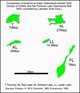 greenstone-belt-comparison.jpg