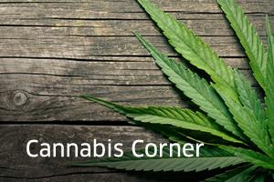 Golden Leaf Holdings Enters Into Loi To Acquire Multistore Retail Chain 21 02 26 Investing News Stockhouse