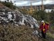 quartz-veins-in-ultramafic-rock-florence-lake-greenstone-belt.jpg