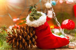 The StockTalk 'Happy Holidays' Cannabis Report: Dec 24, 2021