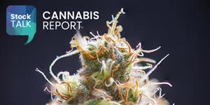 The Market Heralds Weekly Cannabis Report. August 12, 2022
