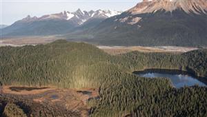 Youve Been Thunderstruck! New Hard Rock, High-Grade Targets Discovered in BC's Golden Triangle