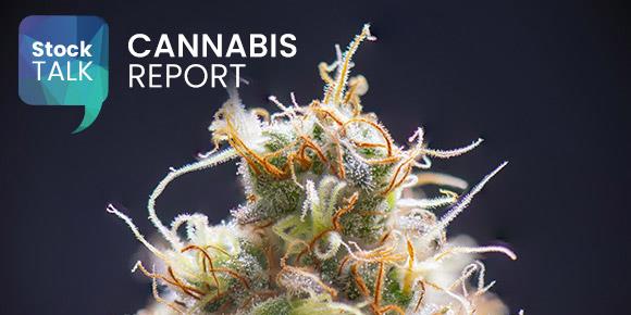 The Market Heralds Weekly Cannabis Report  June 2, 2023