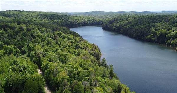 Powering next-gen electrification: Inside Québec’s emerging graphite opportunity