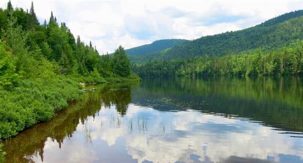 Arbor Metals locks in lithium targets in Quebec