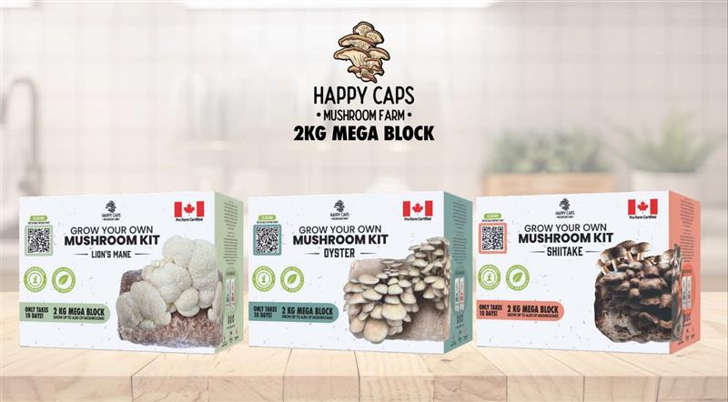 Red Light Holland and Costco Canada partner on mushroom kits