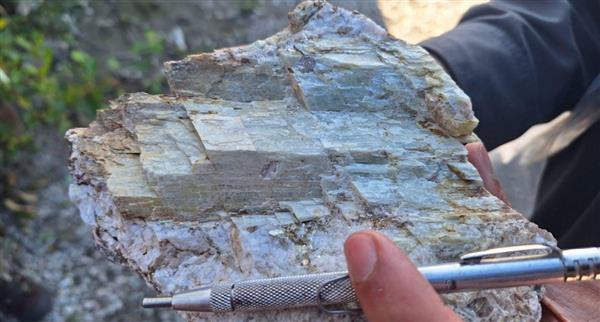 Critical Elements Lithium completes Rose West Discovery drilling
