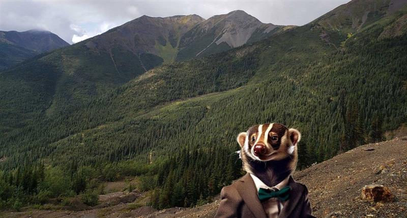 A silver story moving rapidly up the value curve