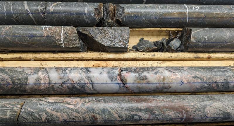 A junior miner and long-term compounder to invest in gold's resurgence