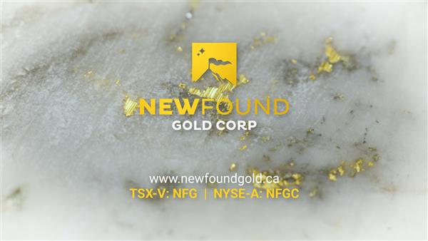 Homepage - New Found Gold Corp.