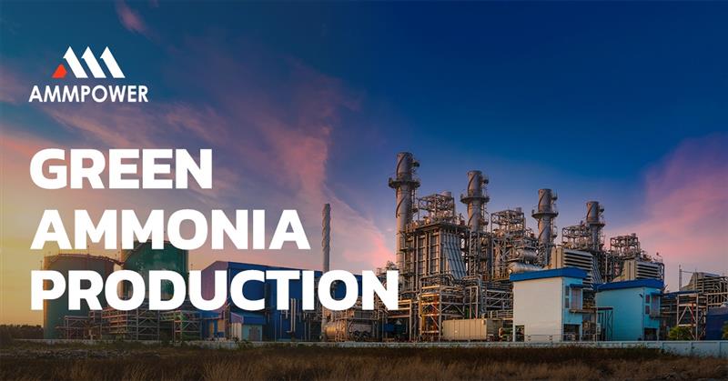 Should you invest in AmmPower stock?