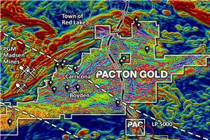 Pacton Returns Gold Samples from Red Lake Project