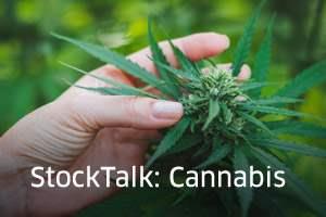 The StockTalk Cannabis Report: July 3, 2020