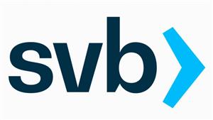 Making sense of the Silicon Valley Bank (NASDAQ:SIVB) collapse