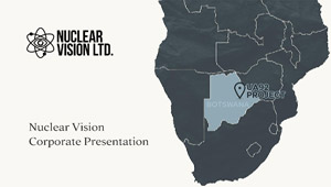 View the Presentation