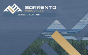 View the Presentation