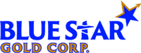 Blue Star Goldlogo